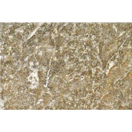 Gạch ốp tường Trường Thịnh WALL TILES G53010